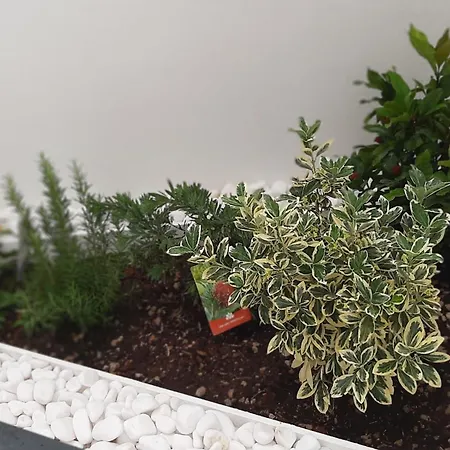 Blue Crystal - Few Steps From The Sea Appartamento St. Paul's Bay