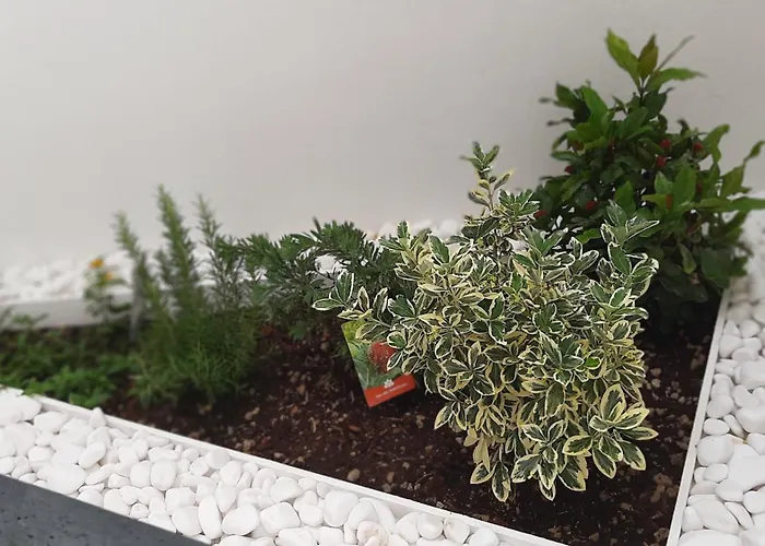 Blue Crystal - Few Steps From The Sea Daire St. Paul's Bay