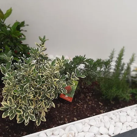 Apartment Blue Crystal - Few Steps From The Sea